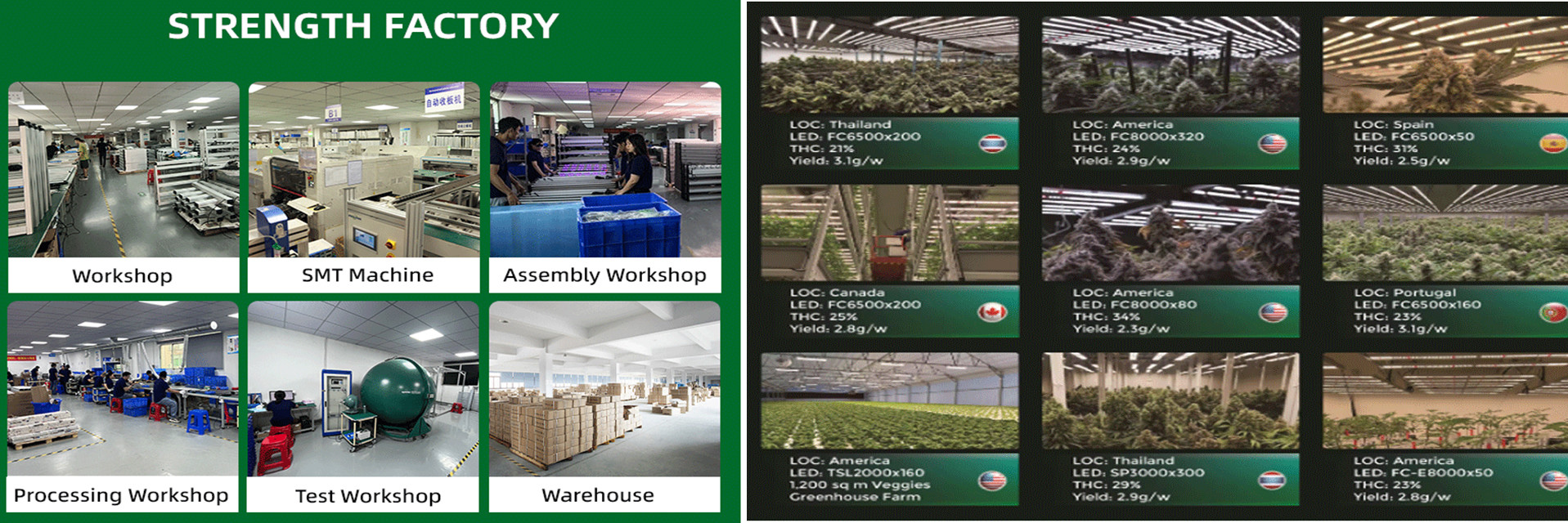 quality Full Spectrum LED Grow Light factory
